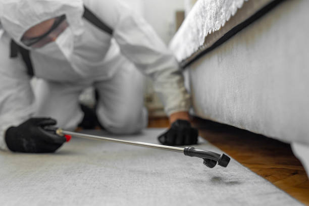 Professional Pest Control technician working in Cache County County, UT